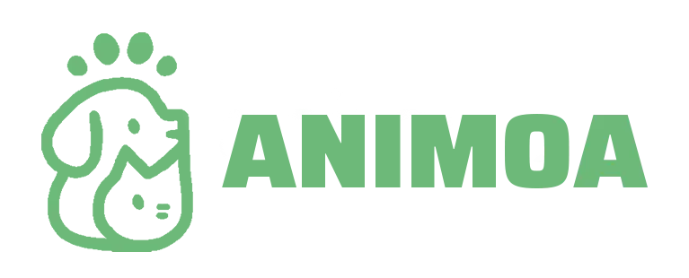 animoa bonne police (2) (1)